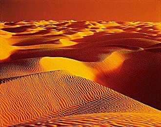 网友帮宣传 玩家自制《黑神话：悟空》宣传图